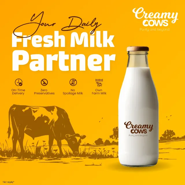 Creamy-Cow-social- media- poster designed-by-avanexa